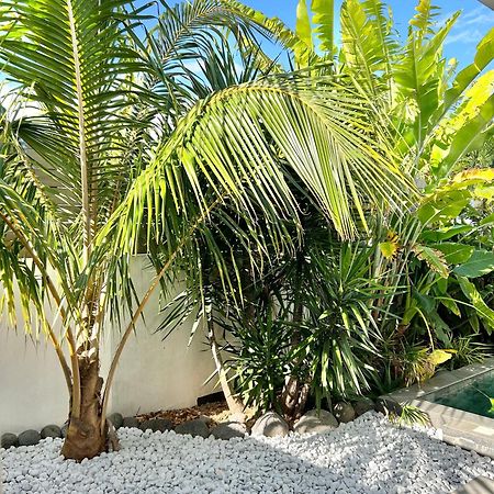 Vila Le Yucca 974 By J&V Saint Pierre Exteriér fotografie