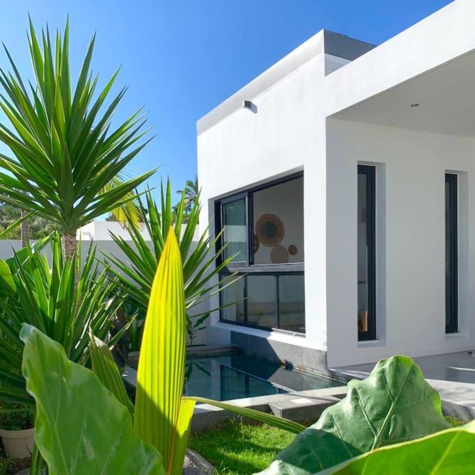 Vila Le Yucca 974 By J&V Saint Pierre Exteriér fotografie