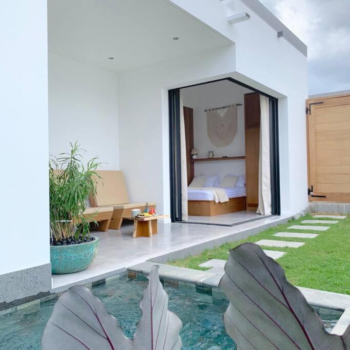 Vila Le Yucca 974 By J&V Saint Pierre Exteriér fotografie