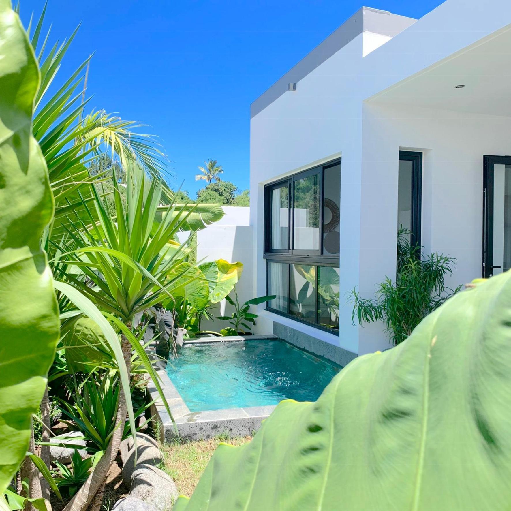 Vila Le Yucca 974 By J&V Saint Pierre Exteriér fotografie