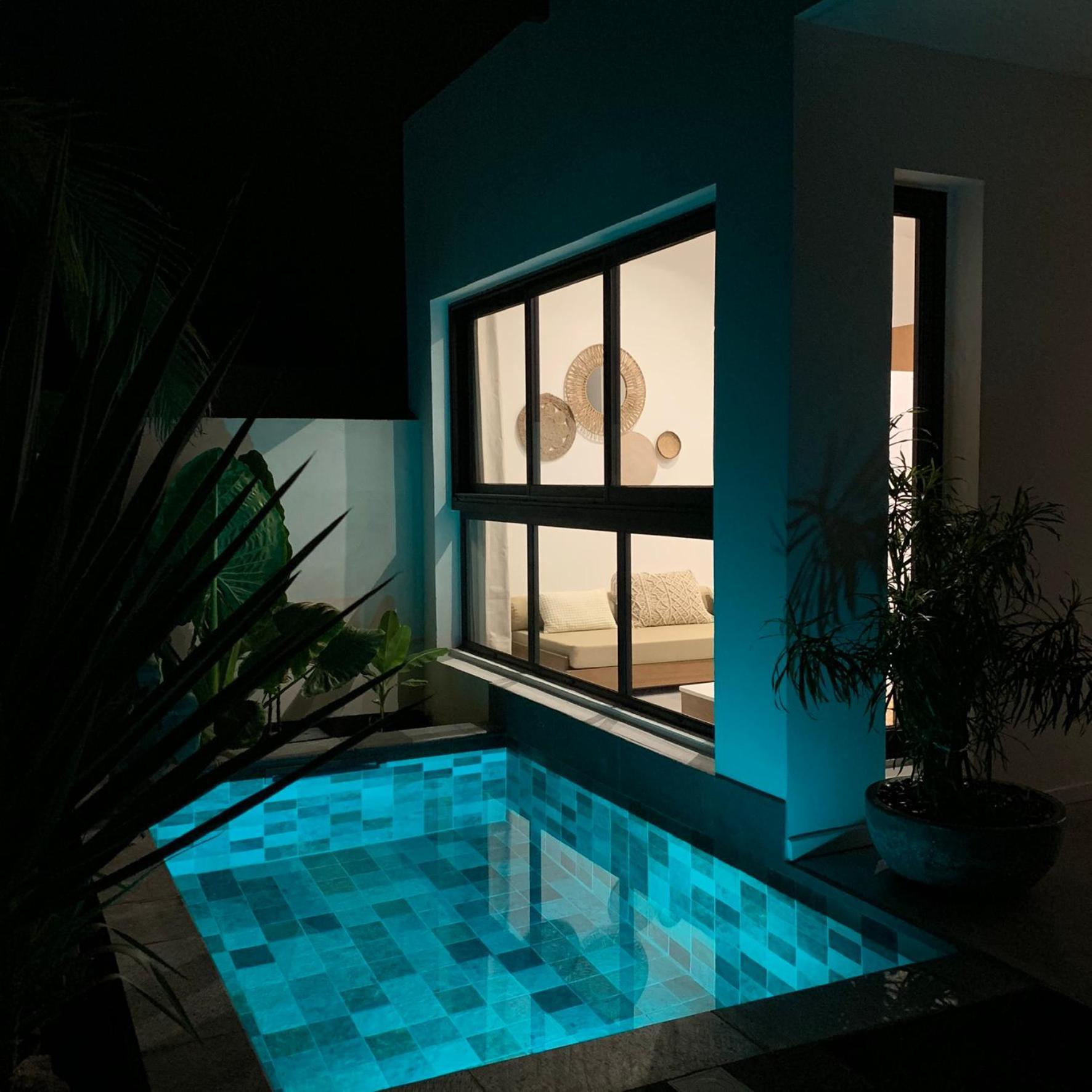 Vila Le Yucca 974 By J&V Saint Pierre Exteriér fotografie
