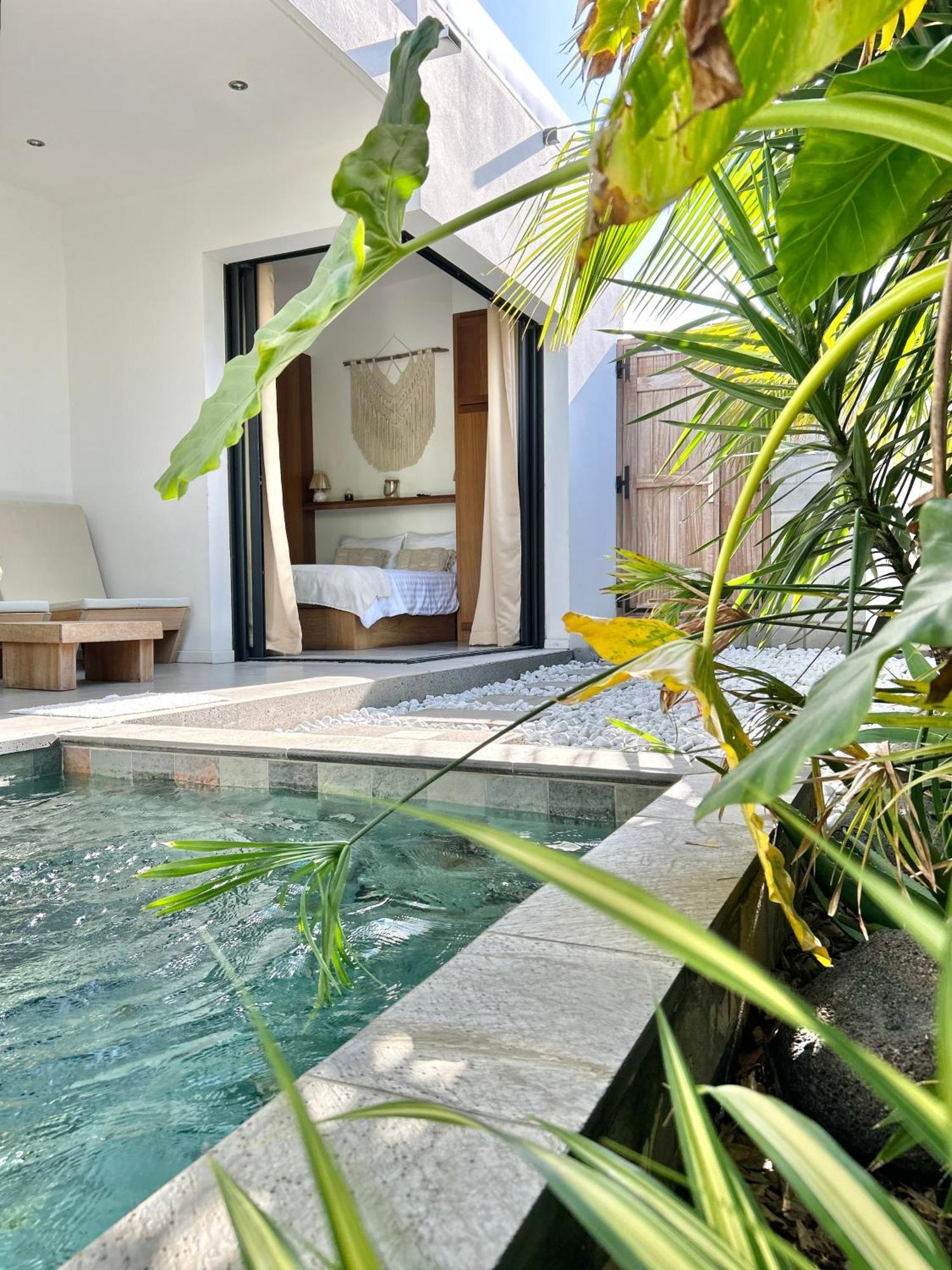 Vila Le Yucca 974 By J&V Saint Pierre Exteriér fotografie