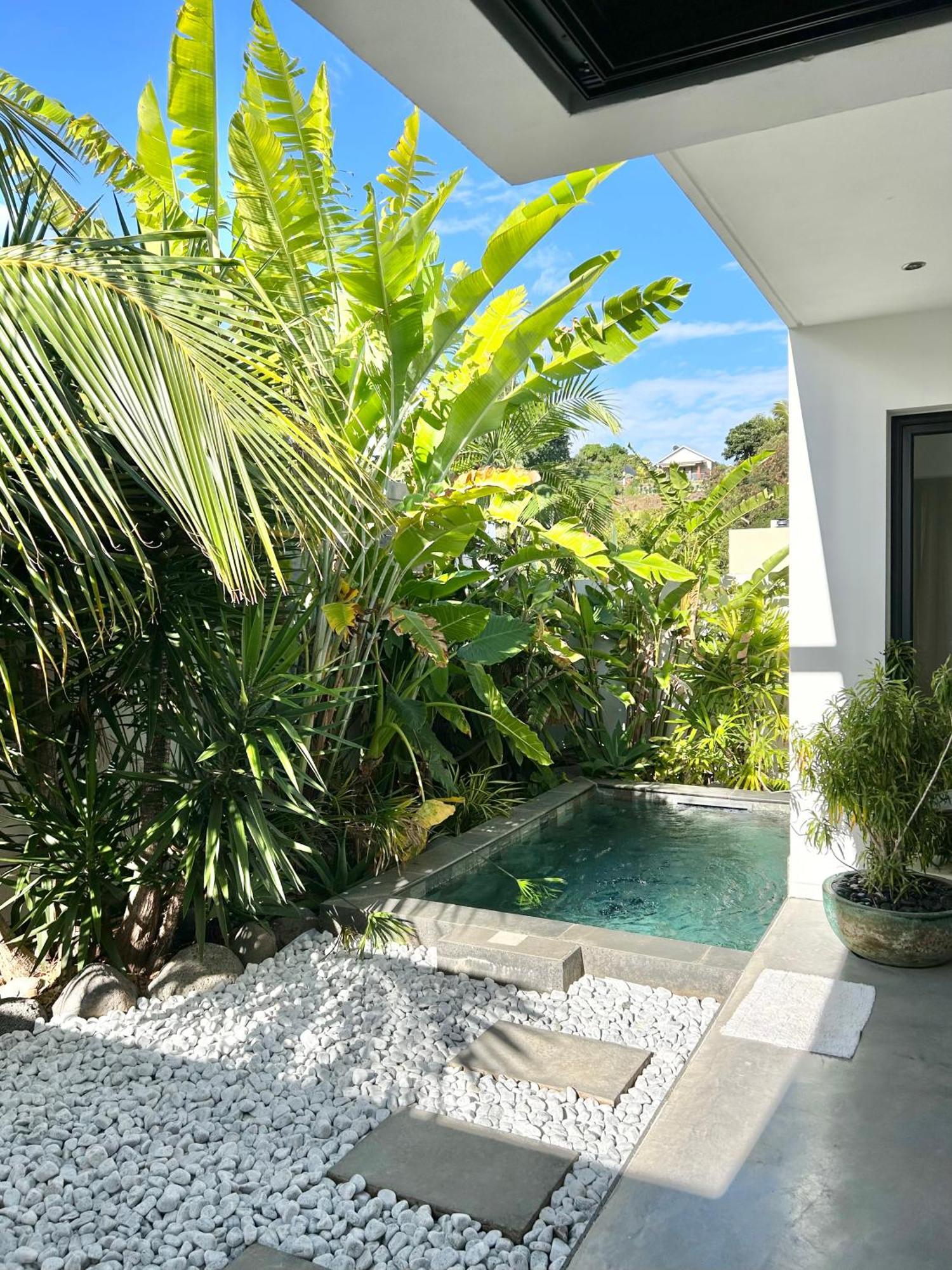 Vila Le Yucca 974 By J&V Saint Pierre Exteriér fotografie